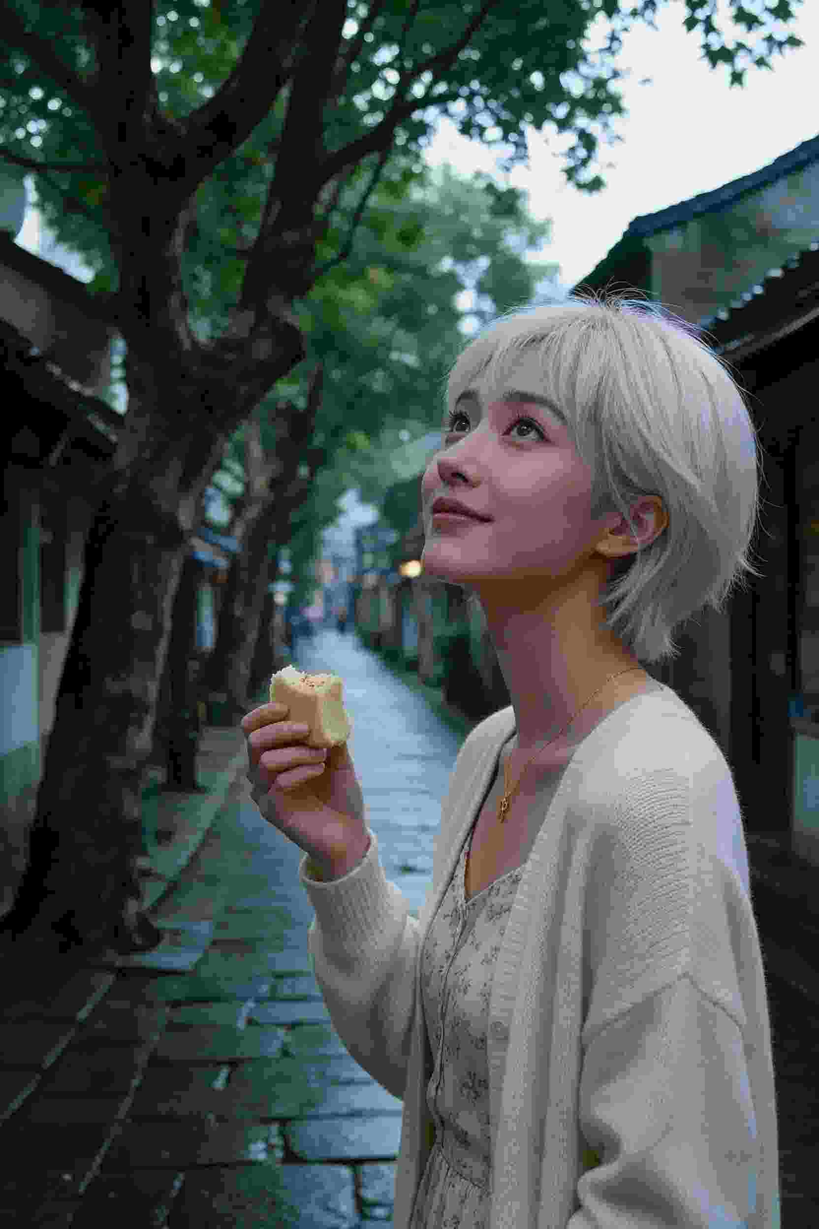 西域往事